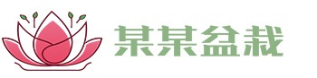 彩民之家 - 彩吧